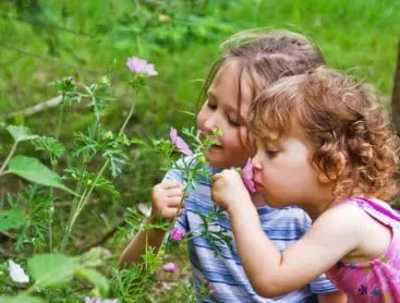 Two little girls smelling light purple flowers outside.