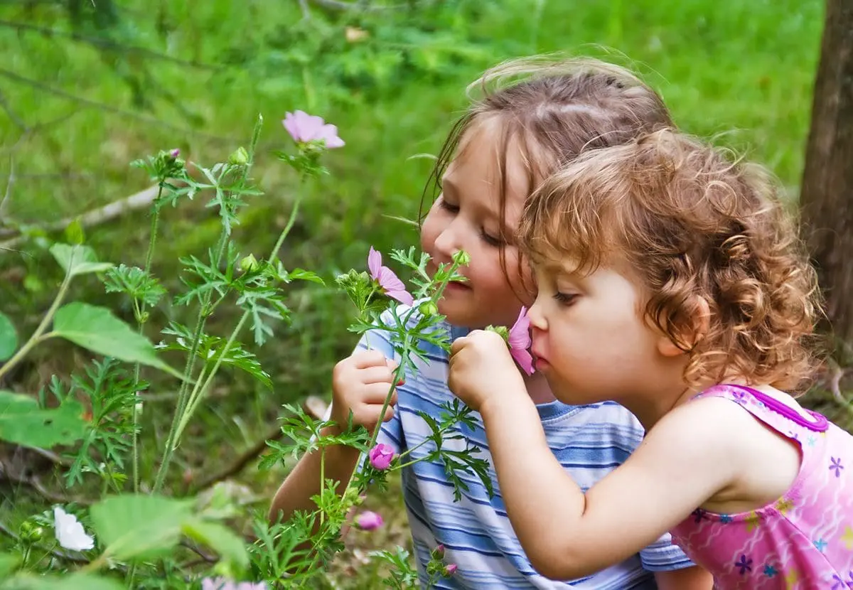 Two little girls smelling light purple flowers outside.