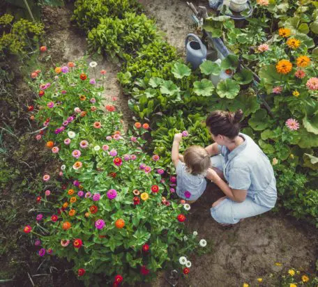 A young woman with her infant son outside gardening.