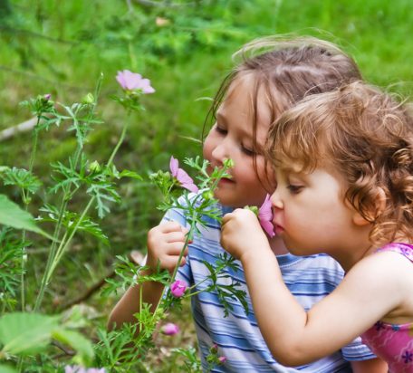 Two little girls smelling light purple flowers outside.
