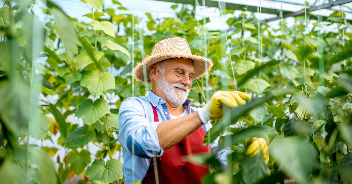 Gardening with Allergies | ACAAI Public Website