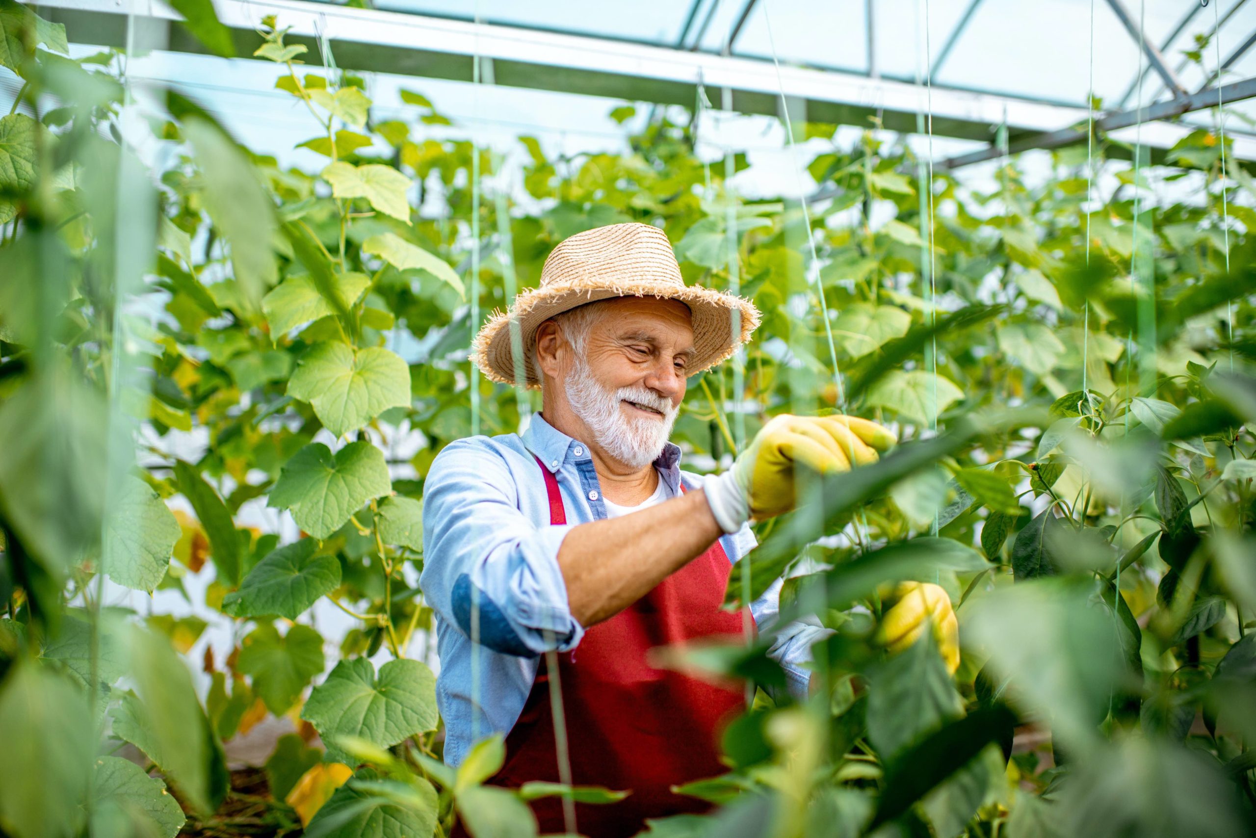 gardening-with-allergies-acaai-patient